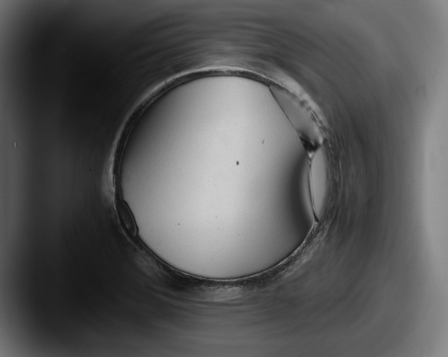 X0000087581372200705181153