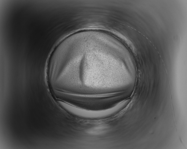 X0000087581374200705181153