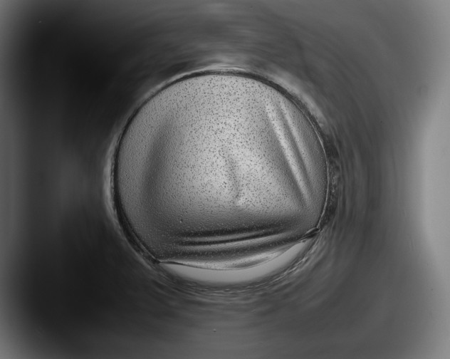 X0000087581375200705181153