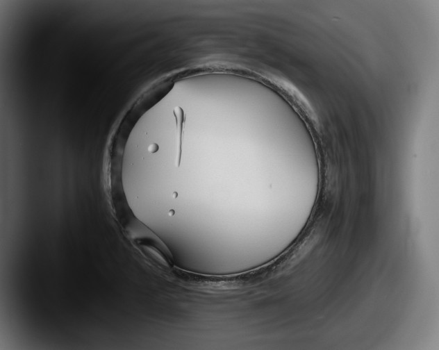 X0000087581376200705181153
