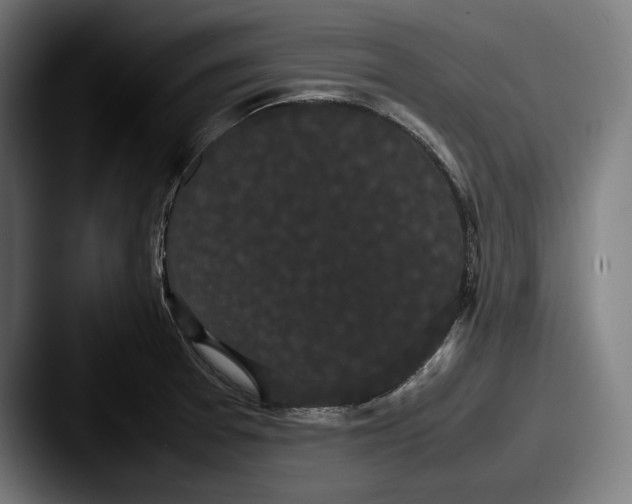X0000087581377200705181153