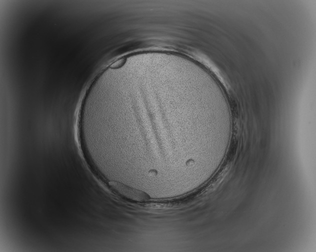 X0000087581379200705181153