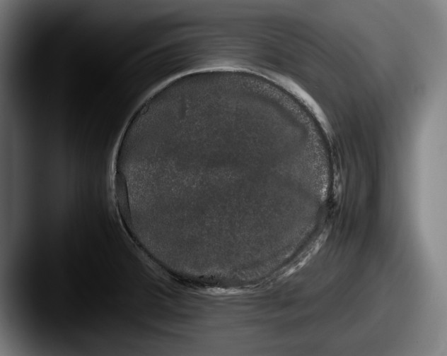 X0000087581380200705181153