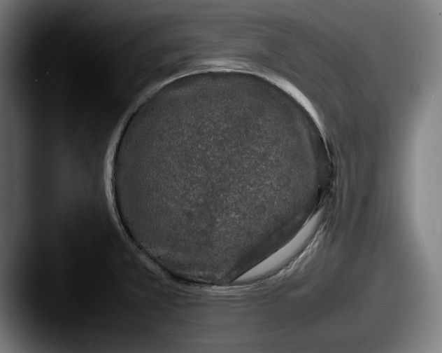 X0000087581381200705181153