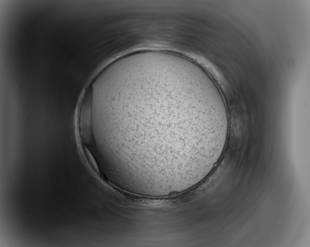 X0000087581382200705181153