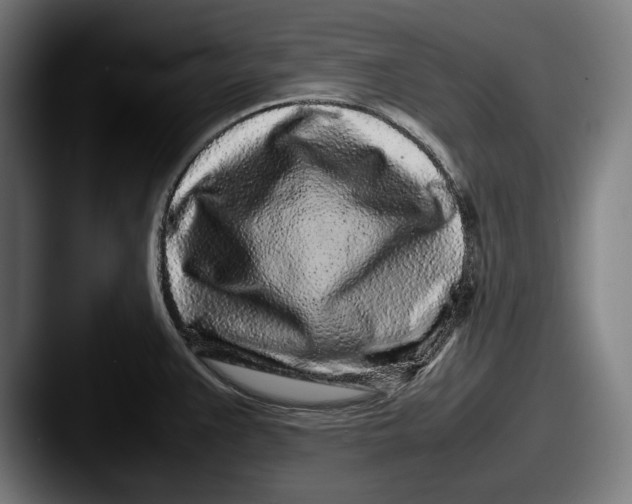 X0000087581383200705181153