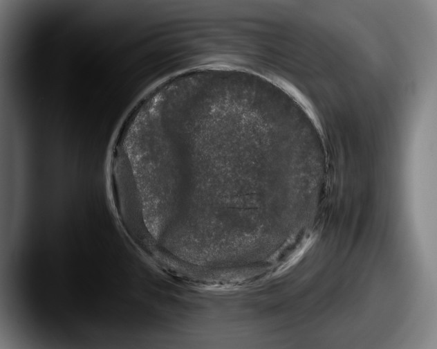 X0000087581384200705181153