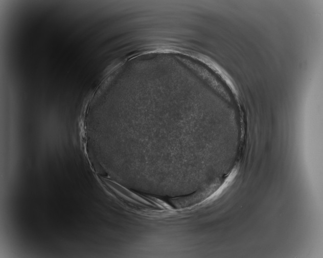 X0000087581385200705181153
