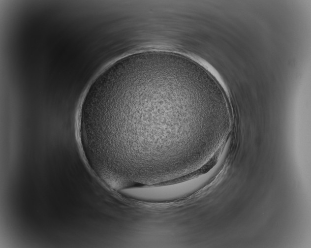 X0000087581389200705181153