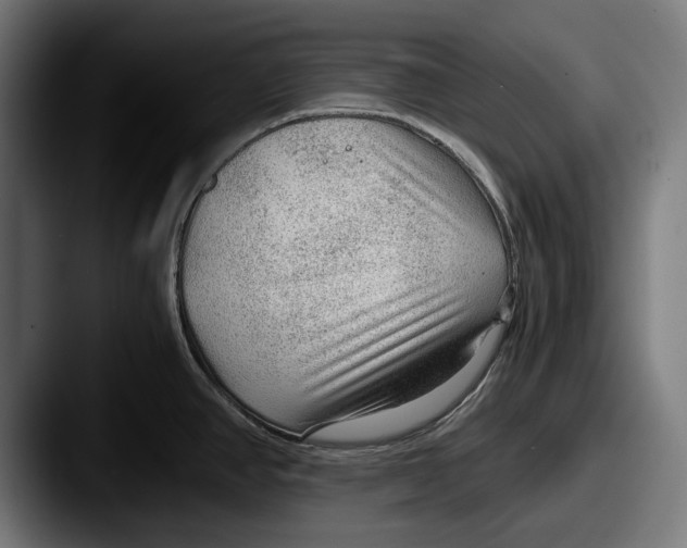 X0000087581390200705181153