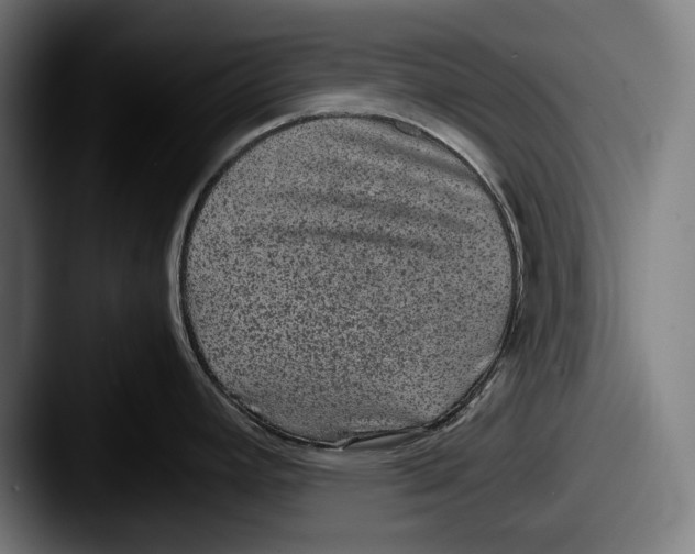 X0000087581392200705181153