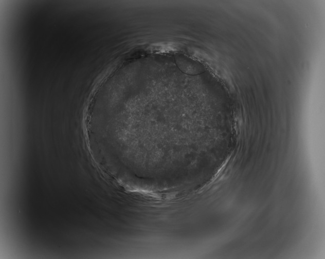 X0000087581393200705181152