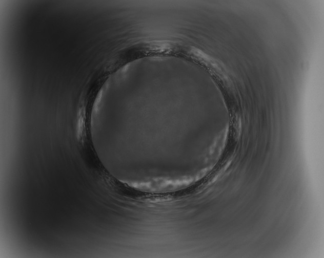 X0000087581394200705181152