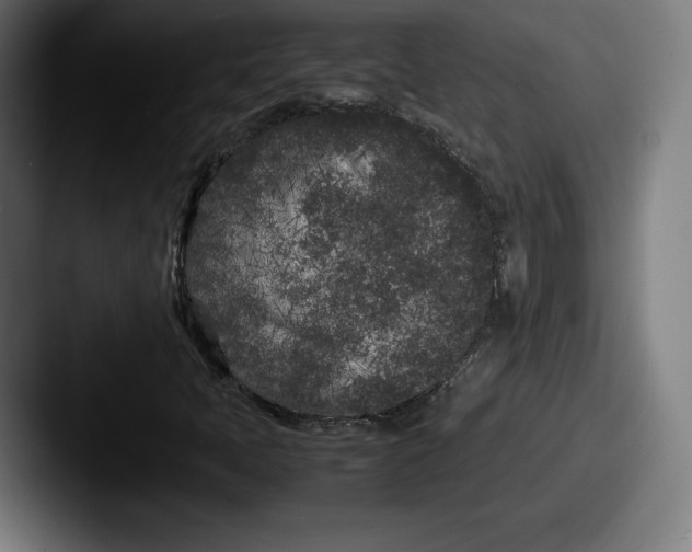 X0000087581397200705181152