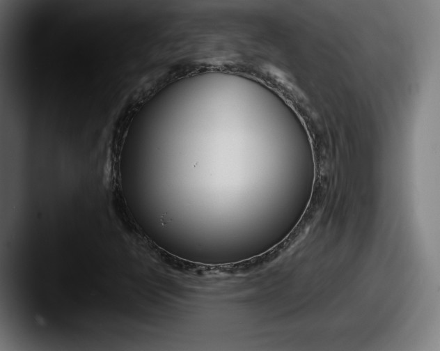 X0000087581398200705181152