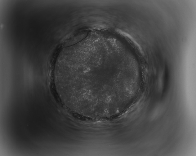 X0000087581399200705181152