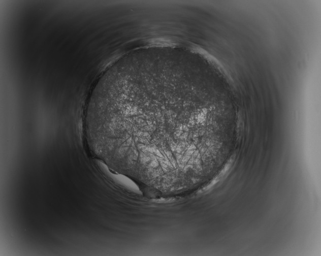 X0000087581401200705181153