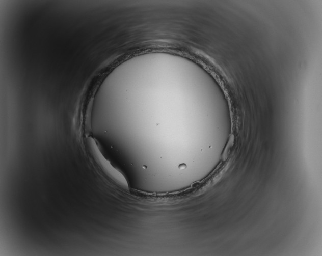 X0000087581402200705181153