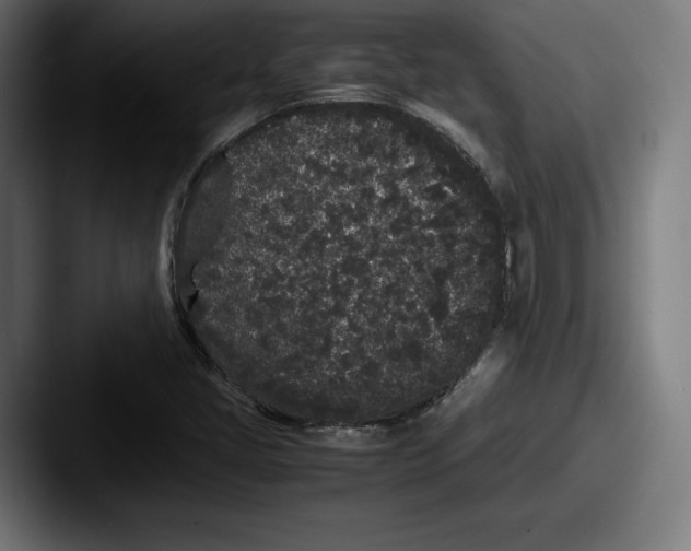 X0000087581405200705181153
