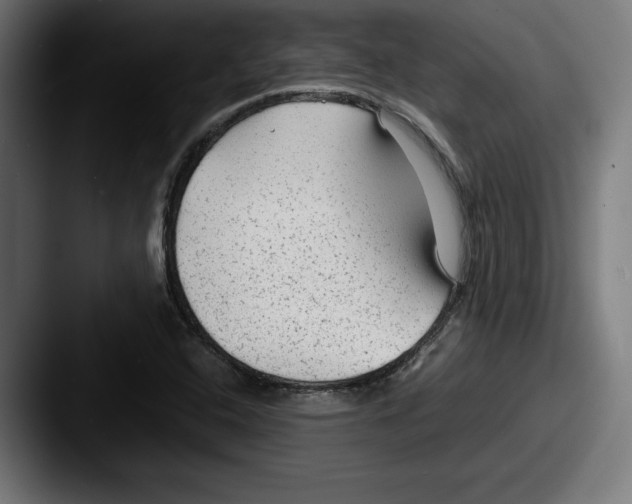 X0000087581408200705181153