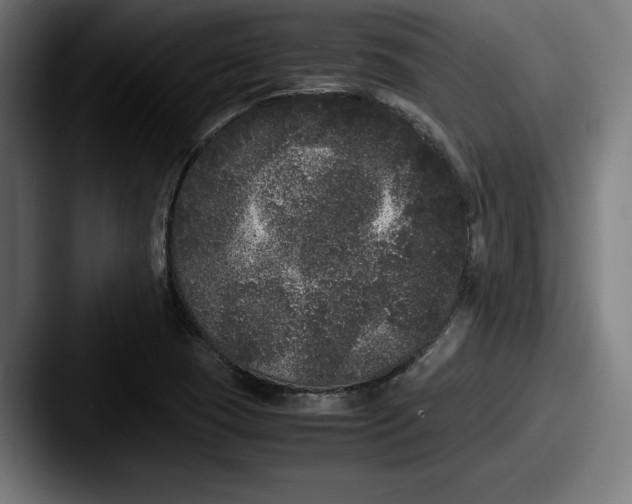 X0000087581409200705181153