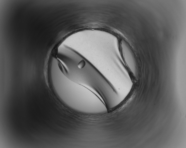 X0000087581410200705181153