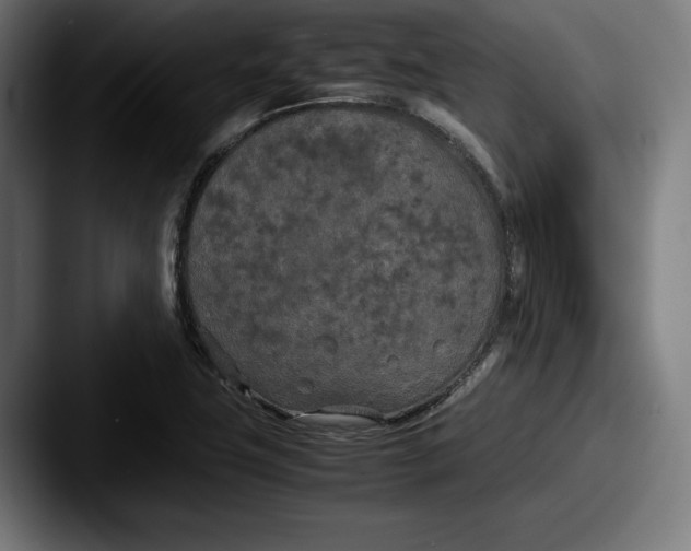 X0000087581411200705181153