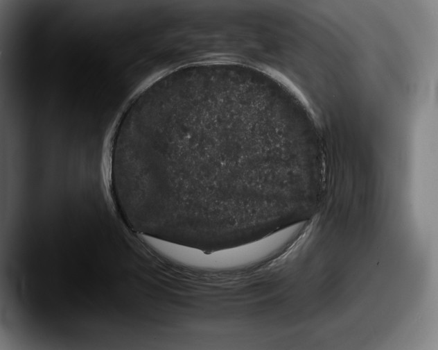 X0000087581413200705181153