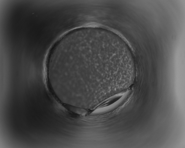 X0000087581414200705181153