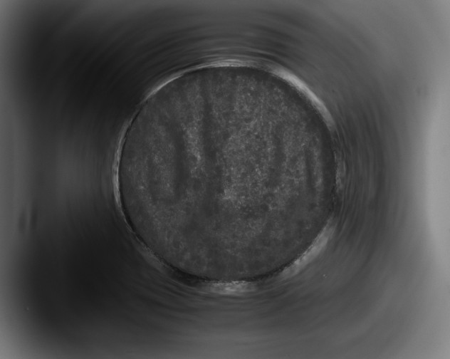 X0000087581417200705181153