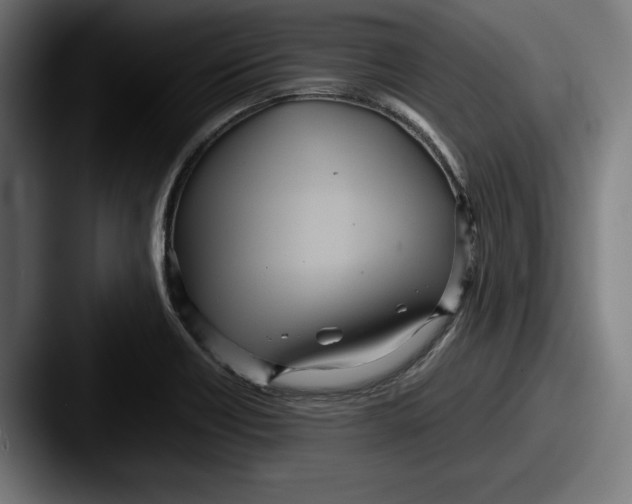 X0000087581418200705181153