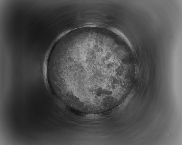X0000087581419200705181153