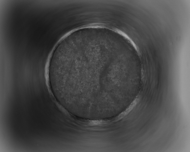 X0000087581421200705181153