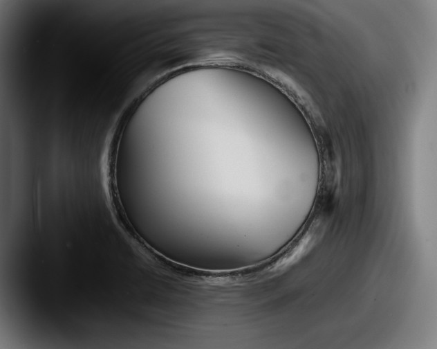 X0000087581422200705181153