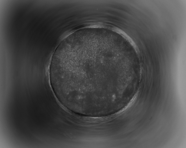 X0000087581425200705181153