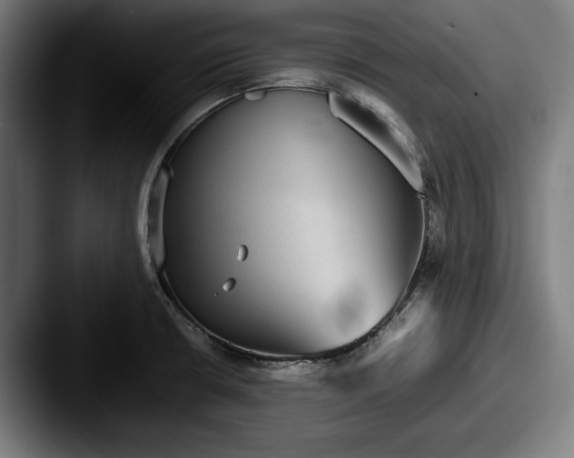 X0000087581426200705181153