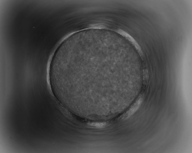 X0000087581427200705181153