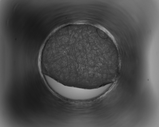 X0000087581429200705181153