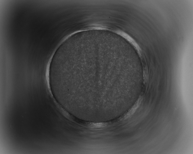 X0000087581431200705181153