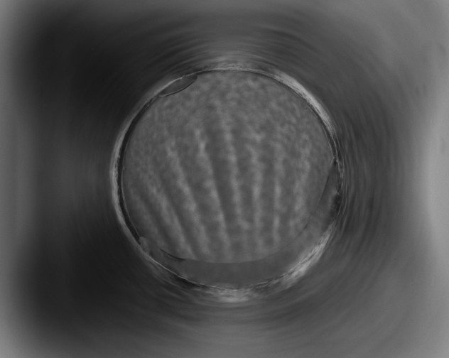 X0000087581434200705181153