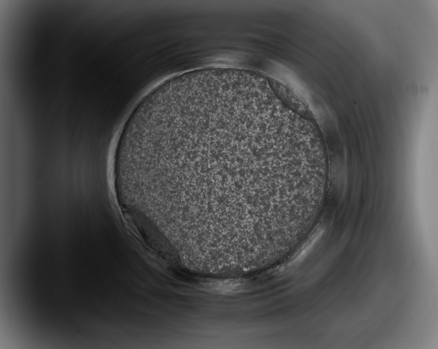 X0000087581435200705181153