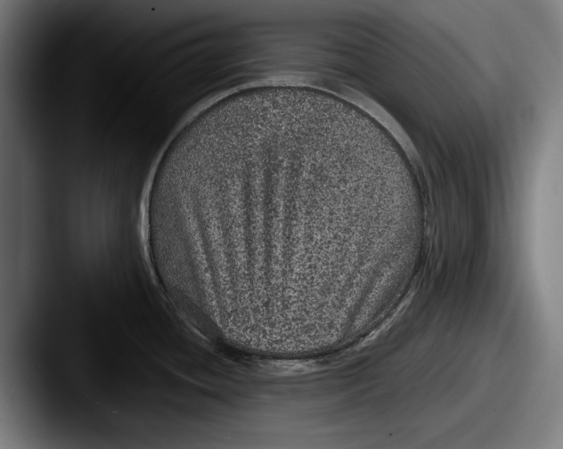 X0000087581436200705181153