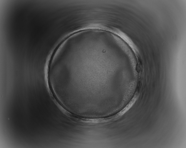 X0000087581438200705181153