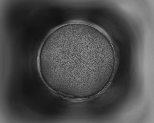 X0000087581440200705181153