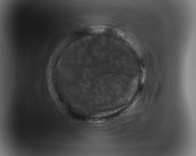 X0000087581441200705181152