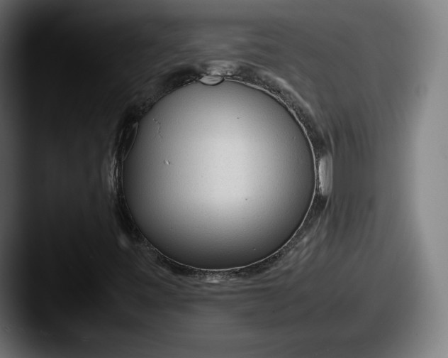 X0000087581443200705181152