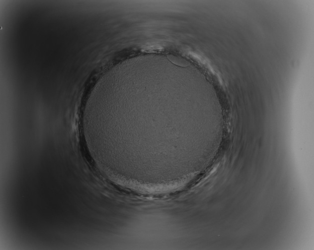 X0000087581445200705181152