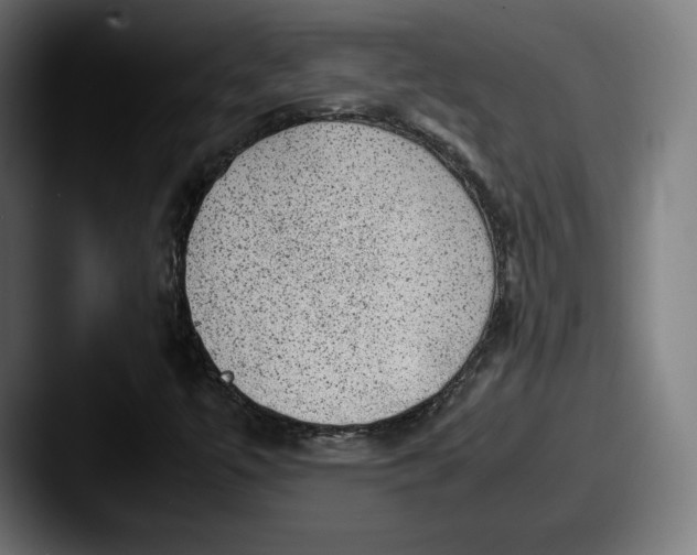X0000087581447200705181152