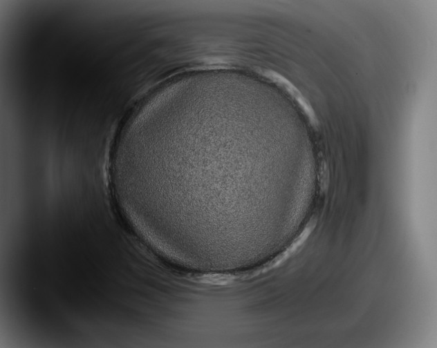 X0000087581449200705181152