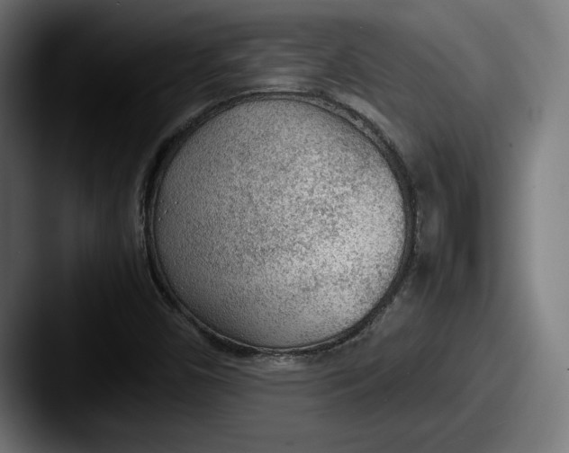 X0000087581450200705181152